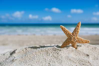 Vacanze al mare con i bambini